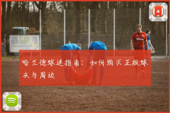 哈兰德球迷指南：如何购买正版球衣与周边