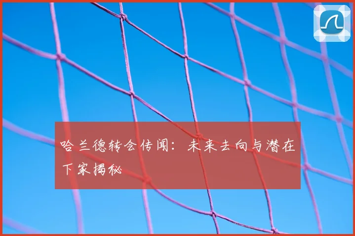 哈兰德转会传闻：未来去向与潜在下家揭秘